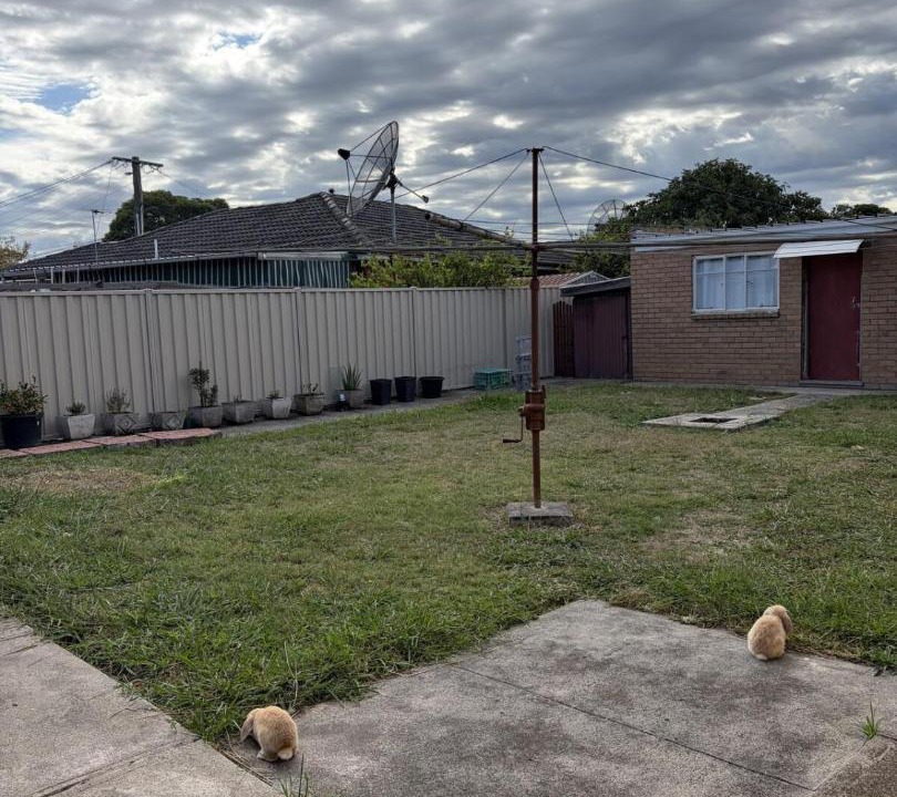 Photo of Others in Springvale