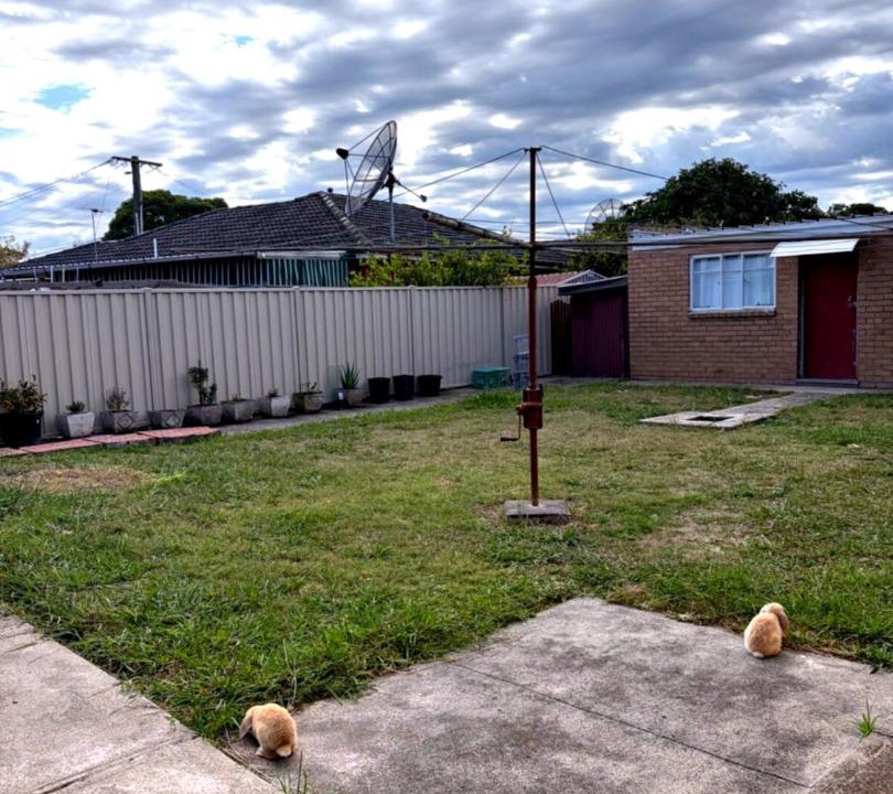 Photo of Others in Springvale