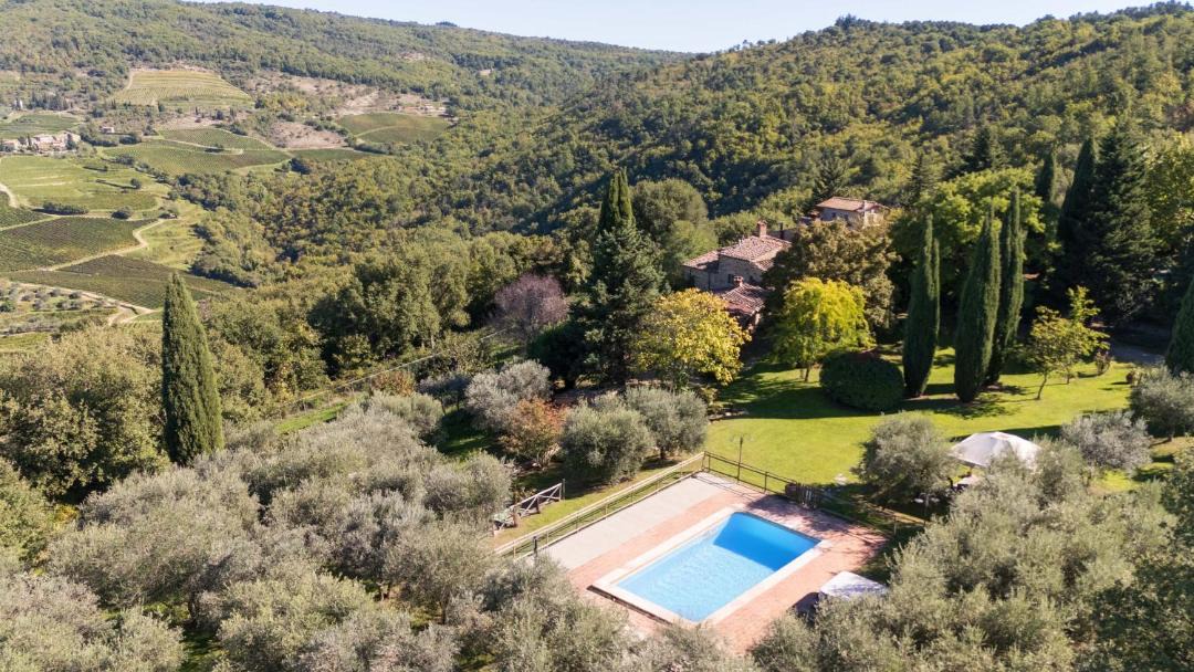 Photo of Others in Greve in Chianti