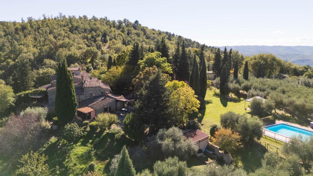 Photo of Others in Greve in Chianti