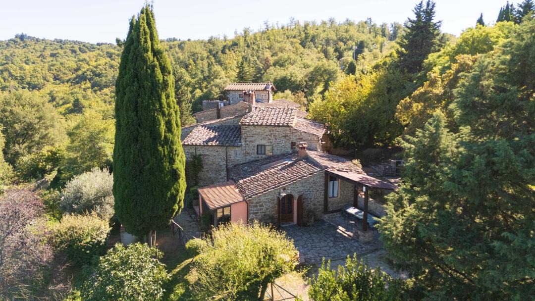 Photo of Others in Greve in Chianti