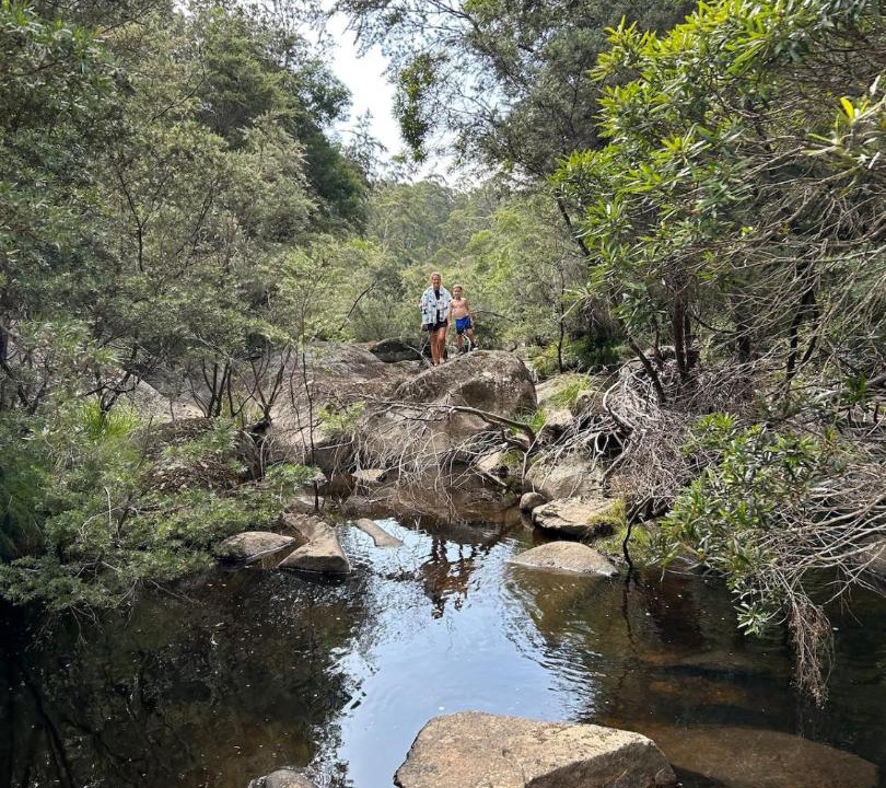 Photo of Others in Bemm River