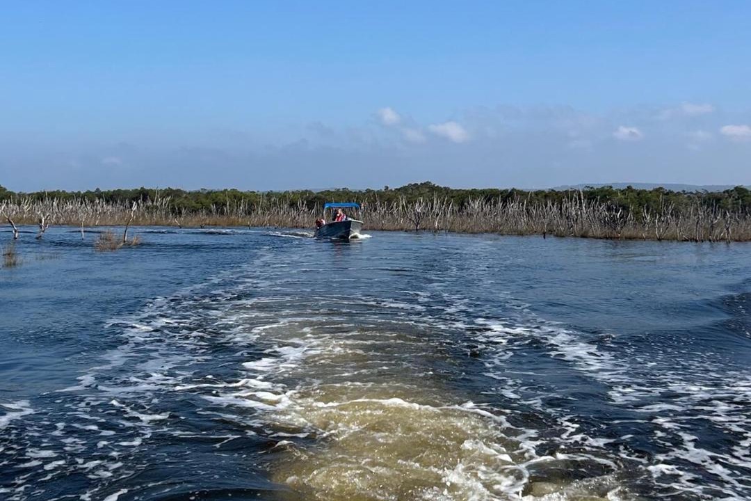 Photo of Others in Bemm River