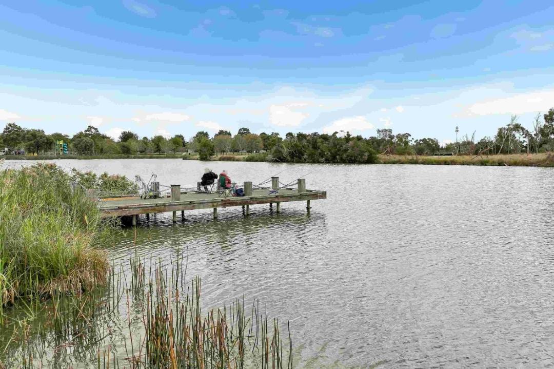Photo of Others in Narre Warren South