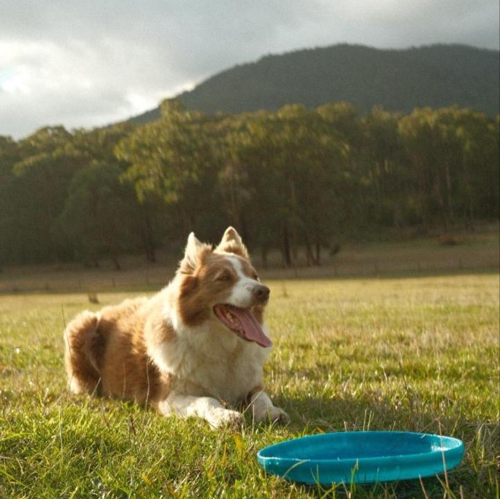 Photo of Others in Wesburn