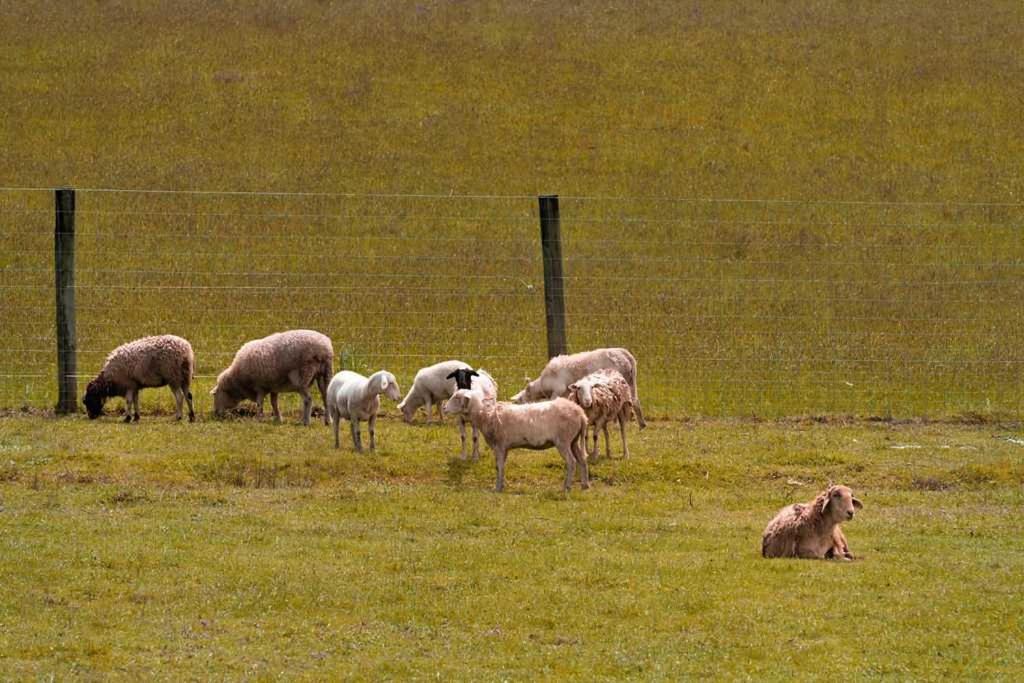 Photo of Others in Wesburn