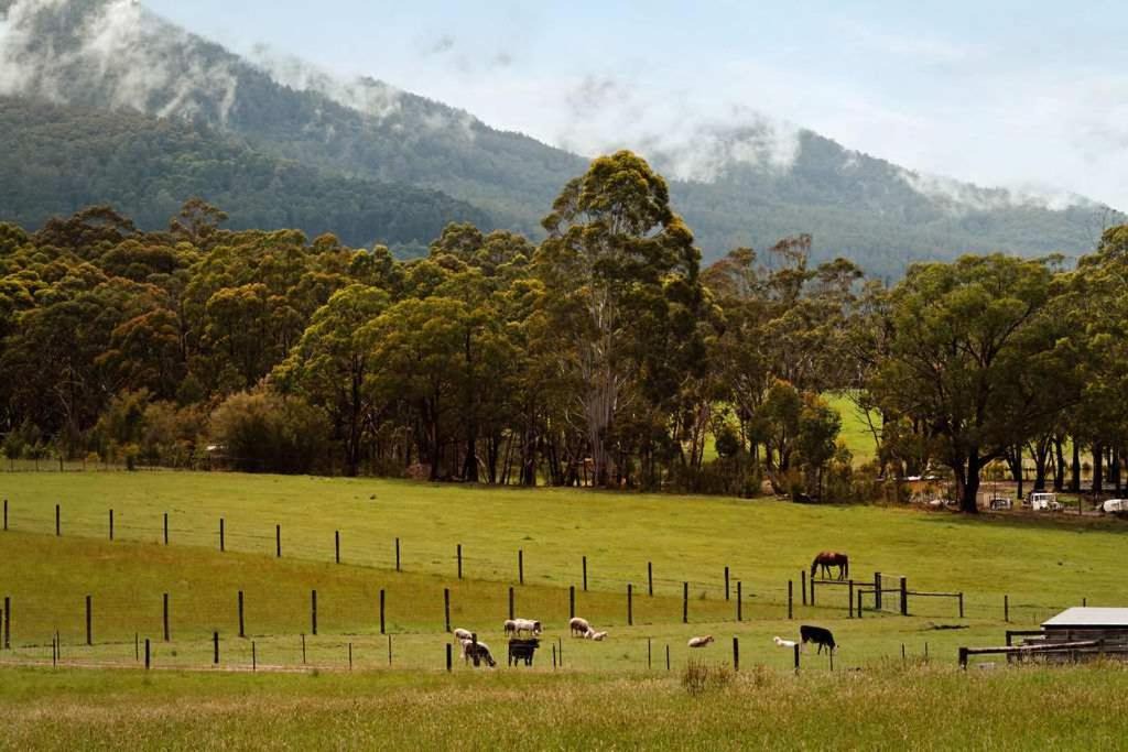 Photo of Others in Wesburn