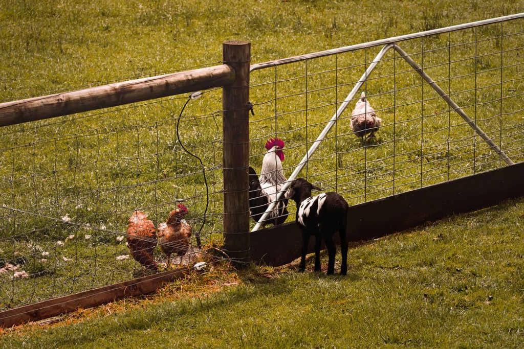 Photo of Others in Wesburn