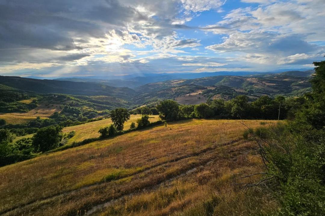 Photo of Others in San Presto