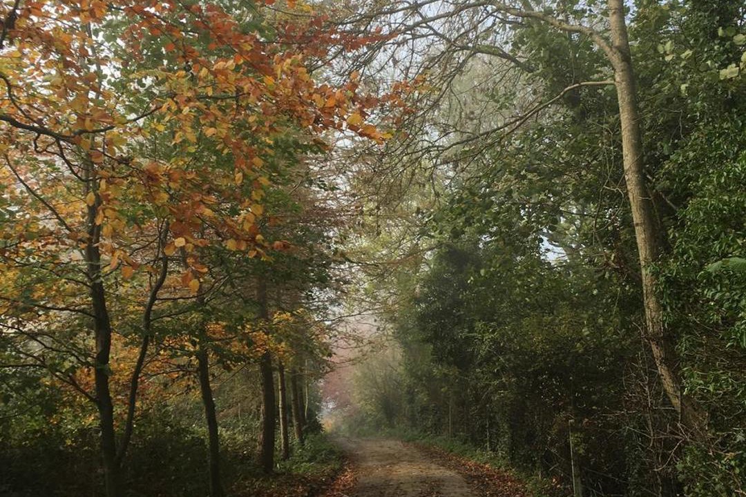 Photo of Others in Upton Cheyney