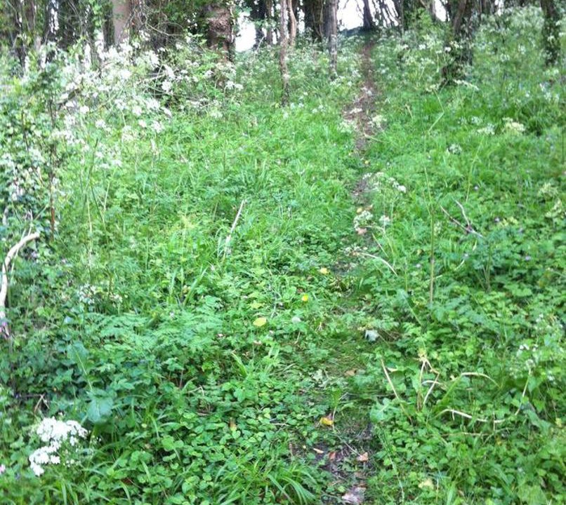 Photo of Others in Upton Cheyney