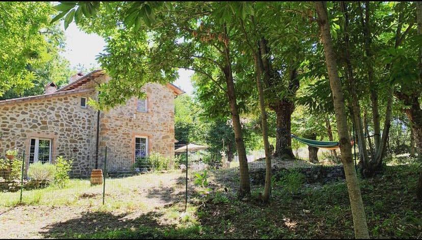Photo of Others in Arcidosso