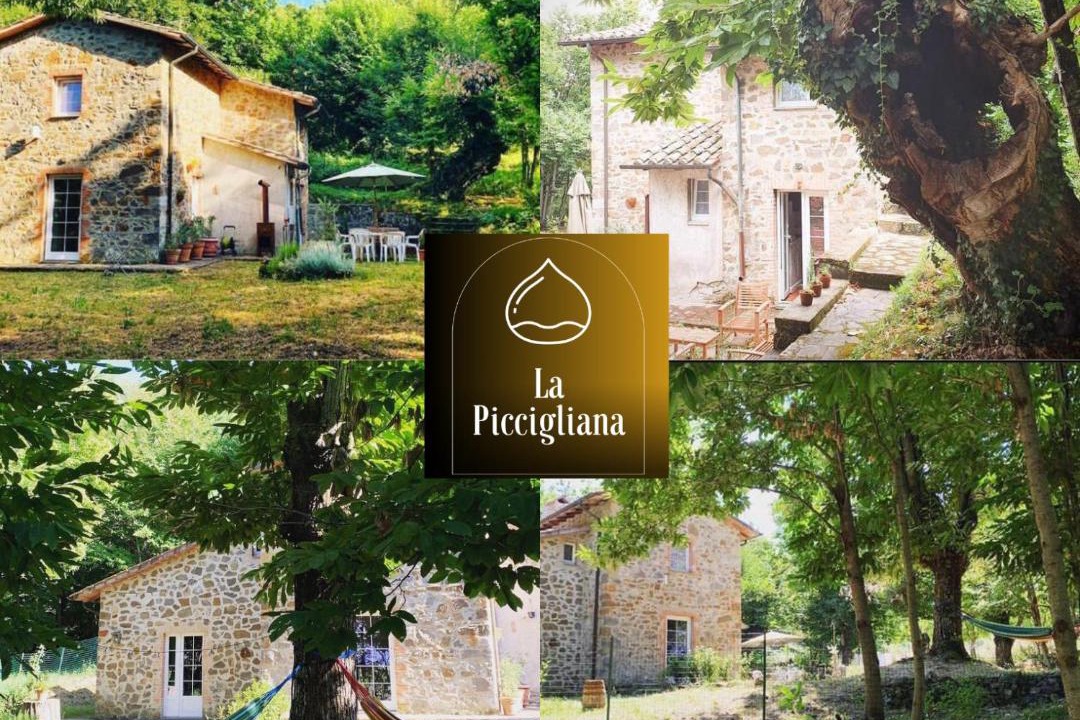 Photo of Others in Arcidosso