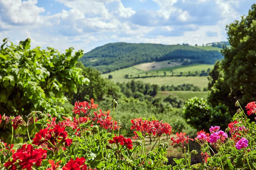 Photo of Others in Montepulciano