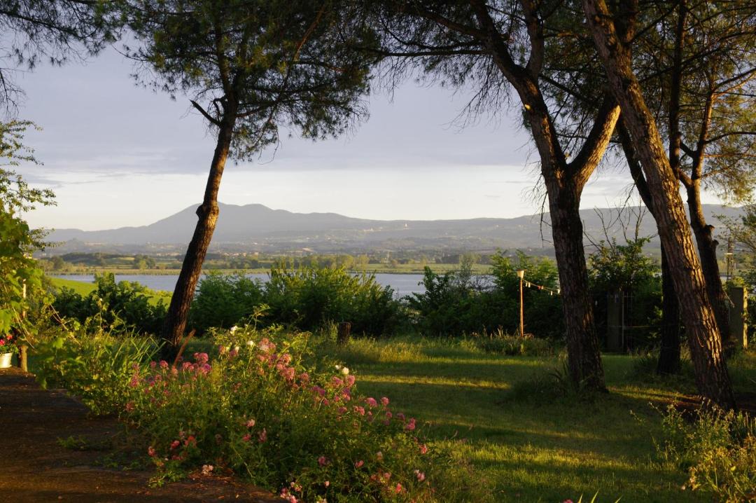 Photo of Others in Castiglione del Lago