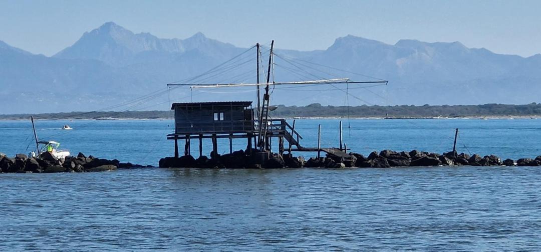 Photo of Others in Marina di Pisa