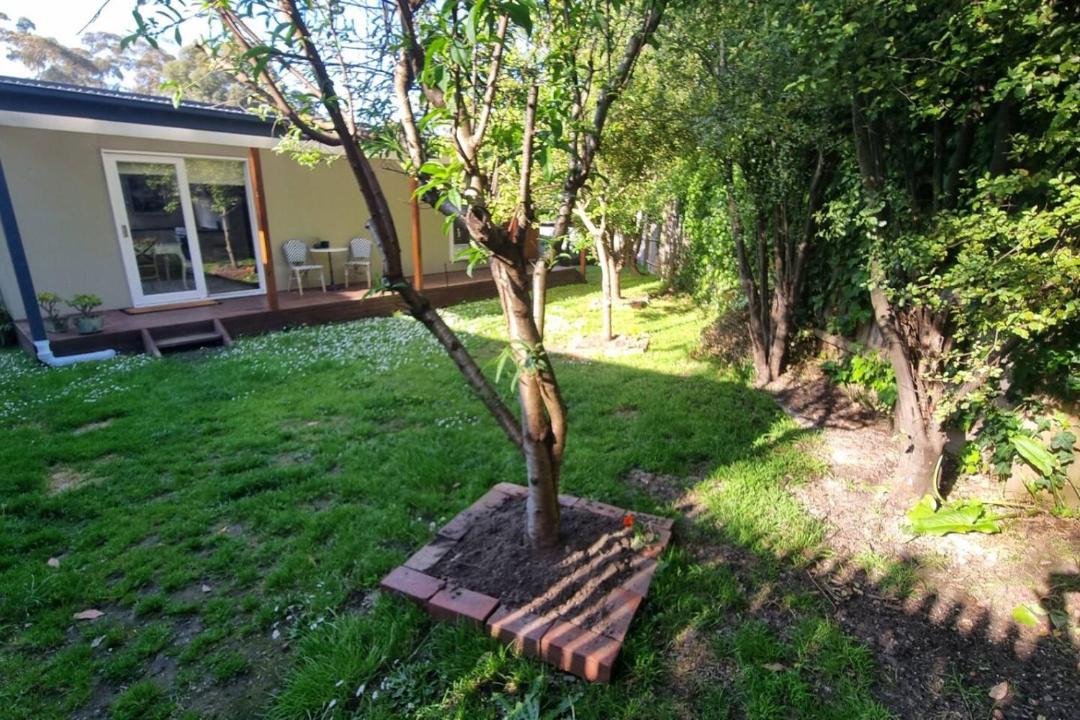 Photo of Others in Croydon North