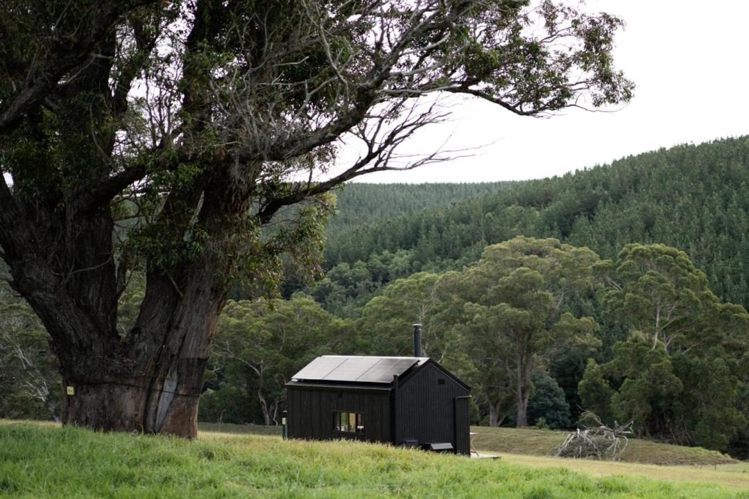 Photo of Others in Tarra Valley
