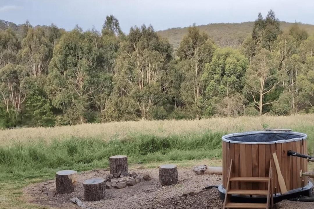 Photo of Others in Tarra Valley