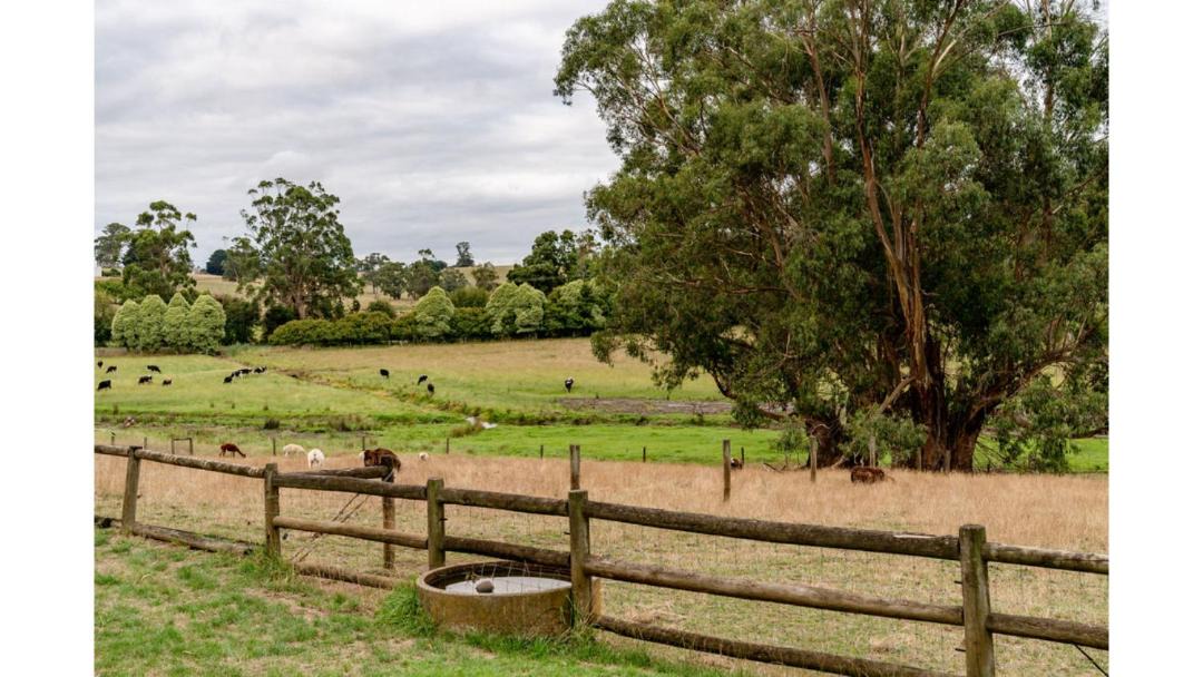 Photo of Others in Warragul South