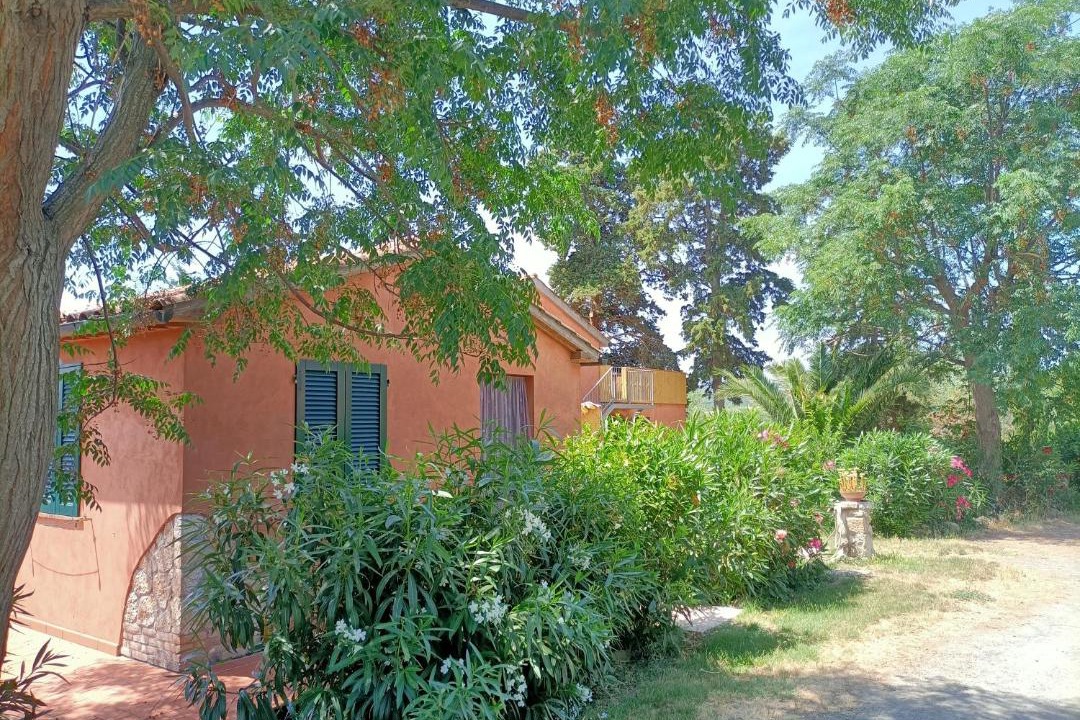 Photo of Others in Rosignano Marittimo