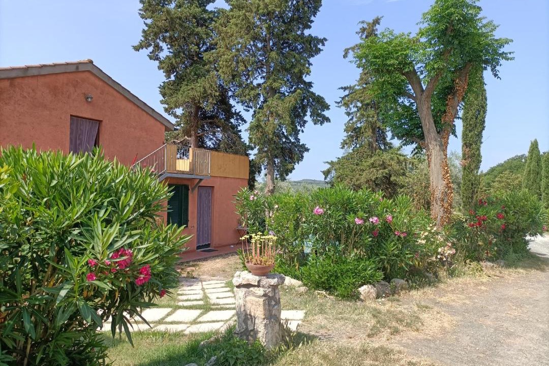 Photo of Others in Rosignano Marittimo