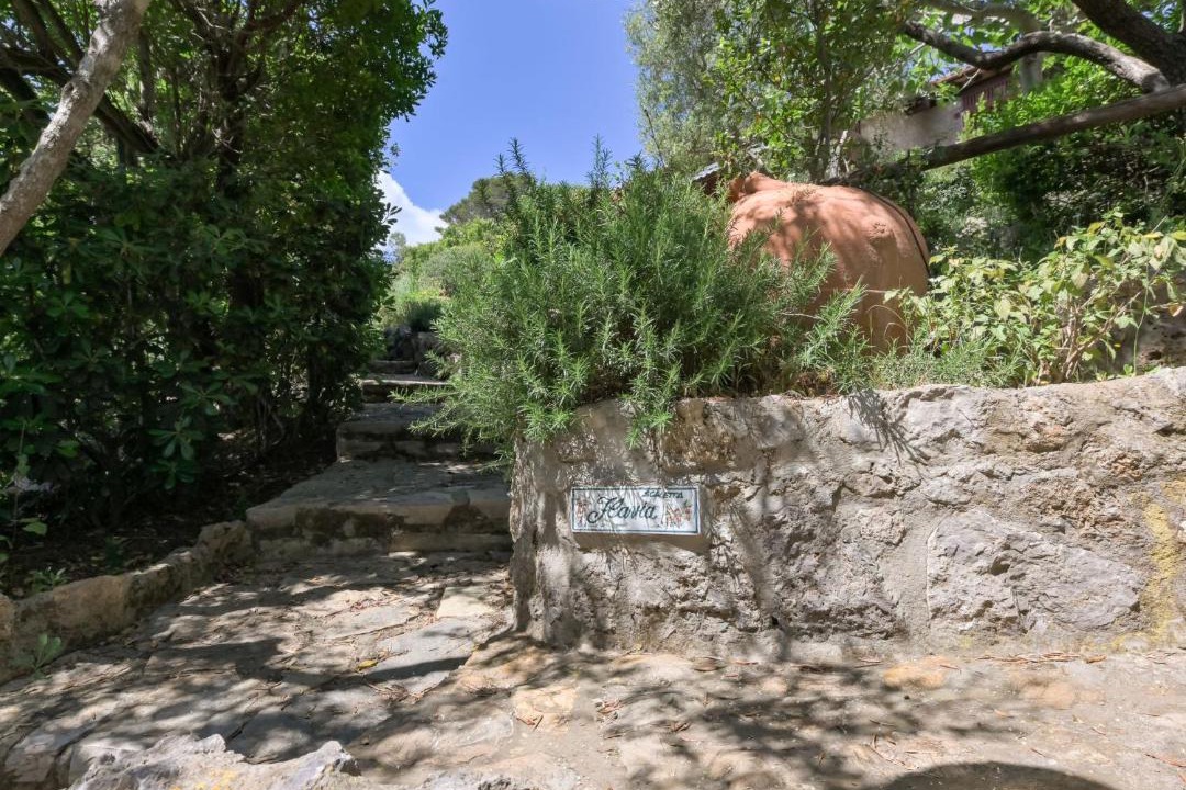 Photo of Others in Ansedonia