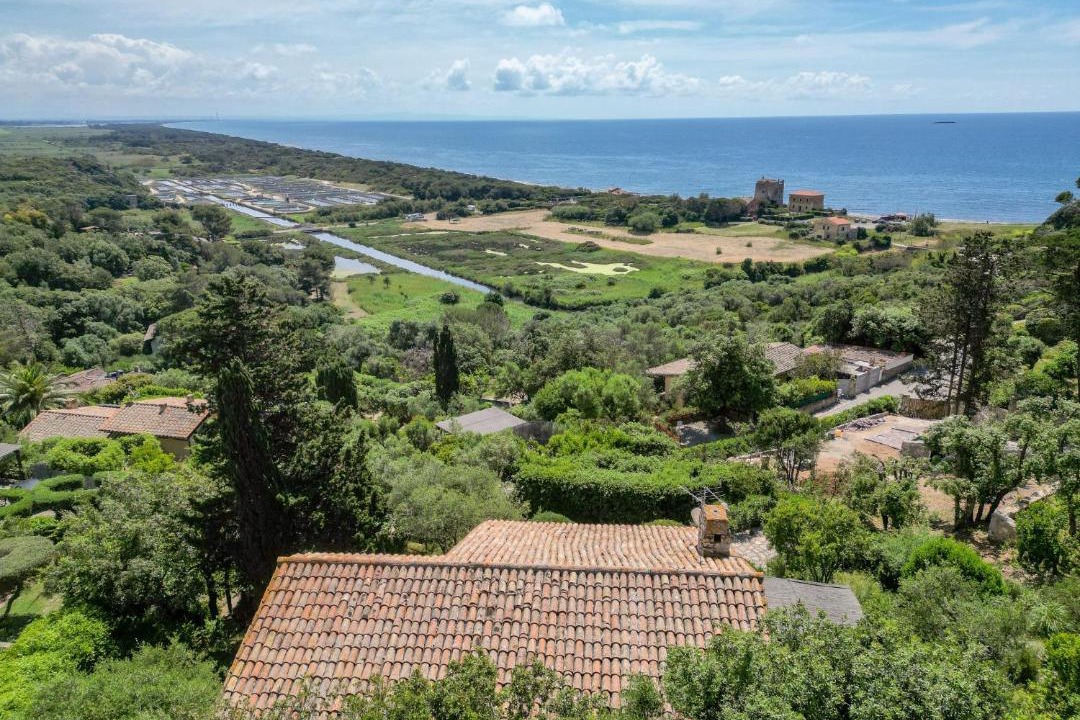 Photo of Others in Ansedonia