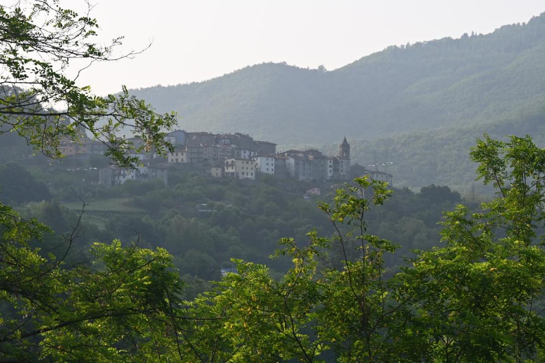 Photo of Others in San Marcello Piteglio