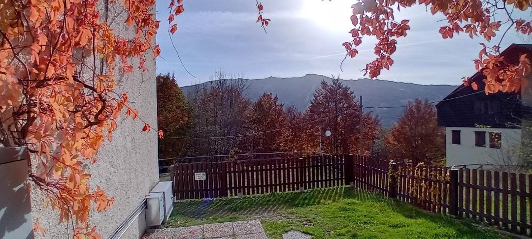 Photo of Others in Abetone
