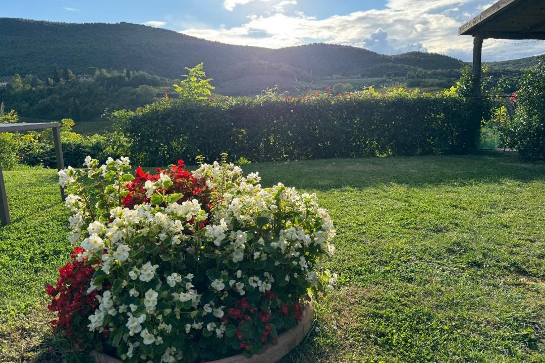 Photo of Others in San Gimignano