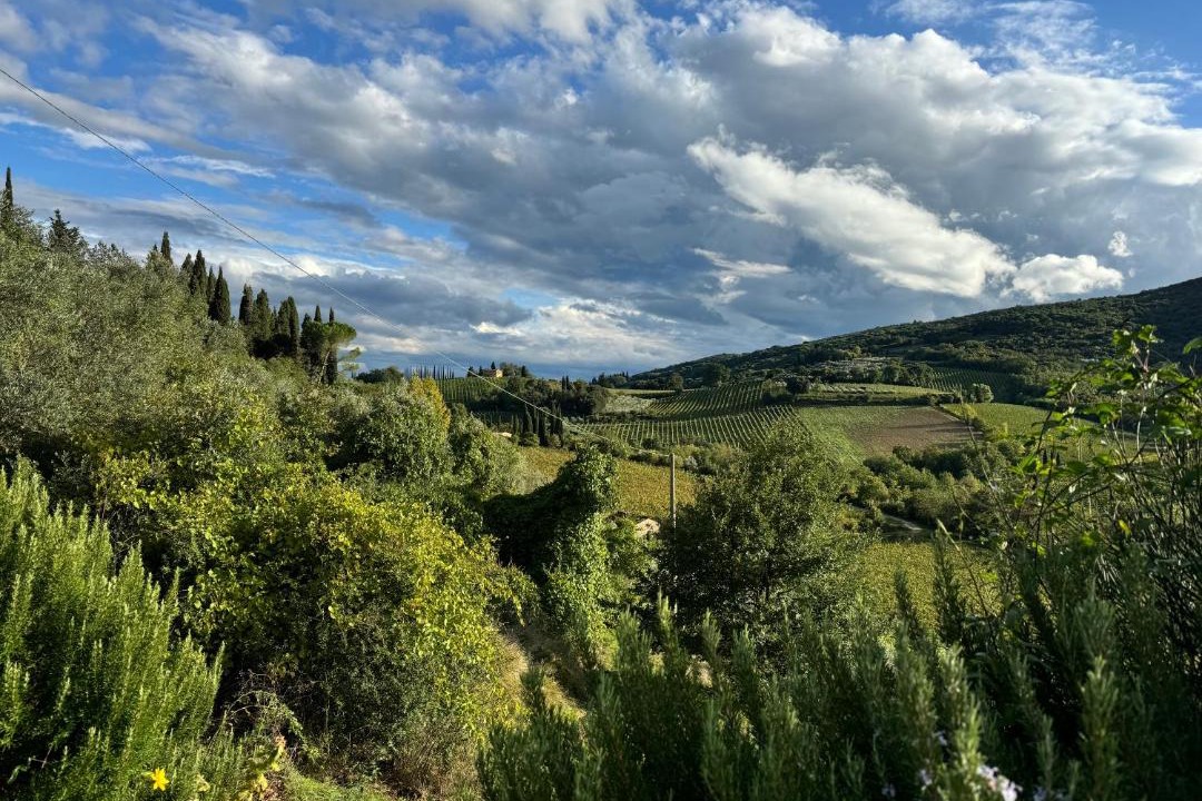 Photo of Others in San Gimignano