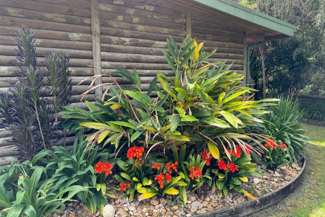 Photo of Others in Mallacoota
