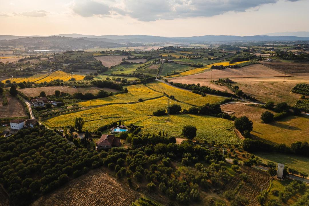 Photo of Others in Foiano della Chiana