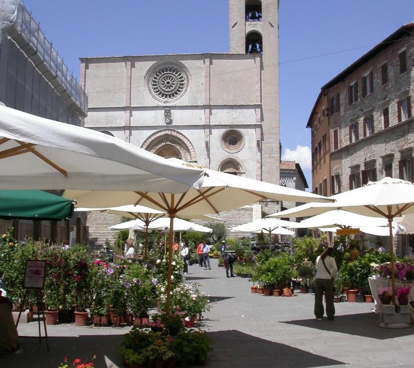 Photo of Others in Todi