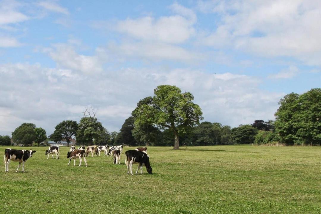 Photo of Others in Tockington