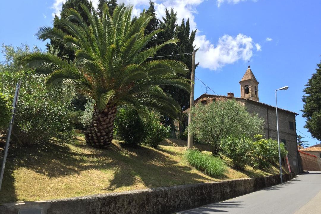 Photo of Others in Orciatico