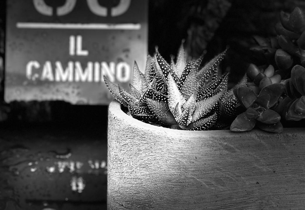 Photo of Others in San Quirico d'Orcia
