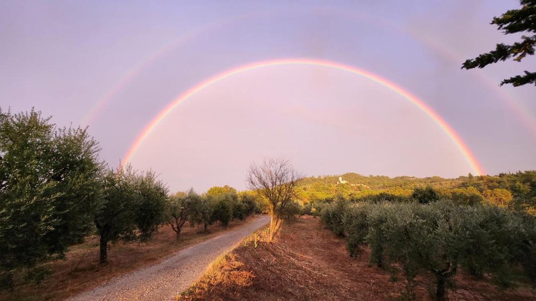 Photo of Others in Lastra a Signa