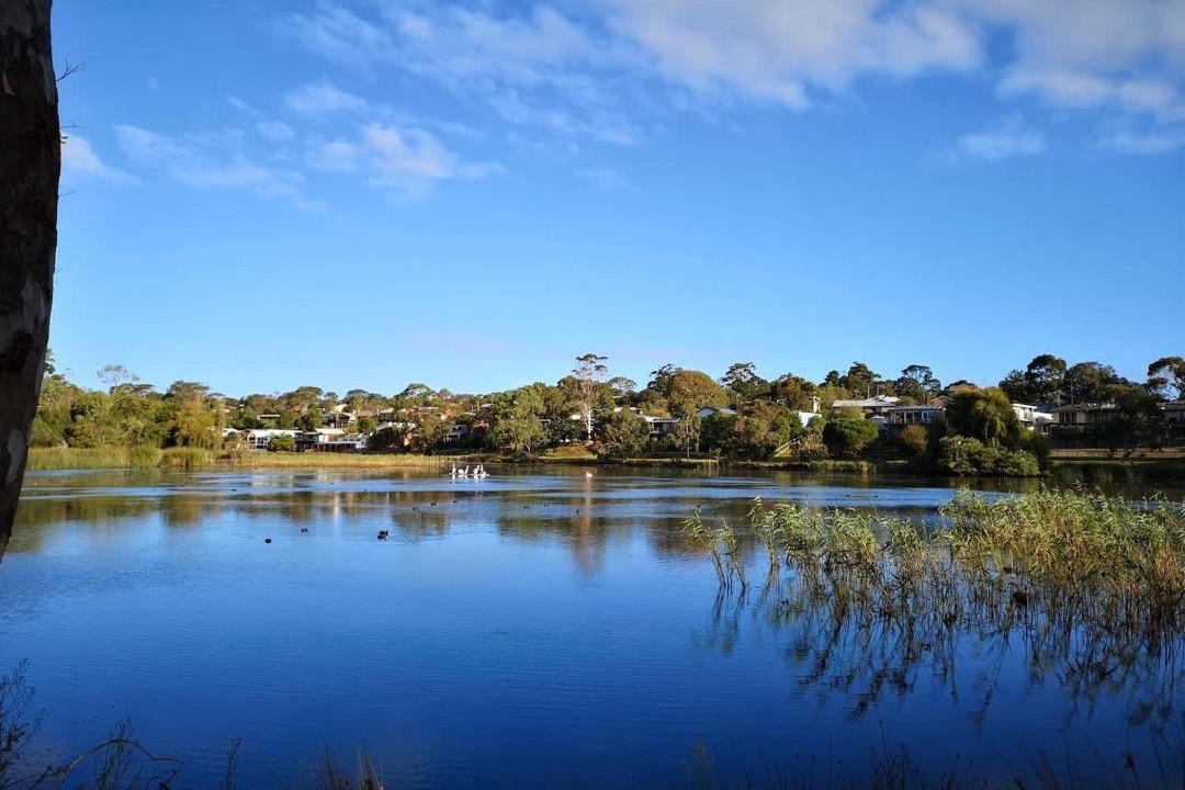 Photo of Others in Ocean Grove