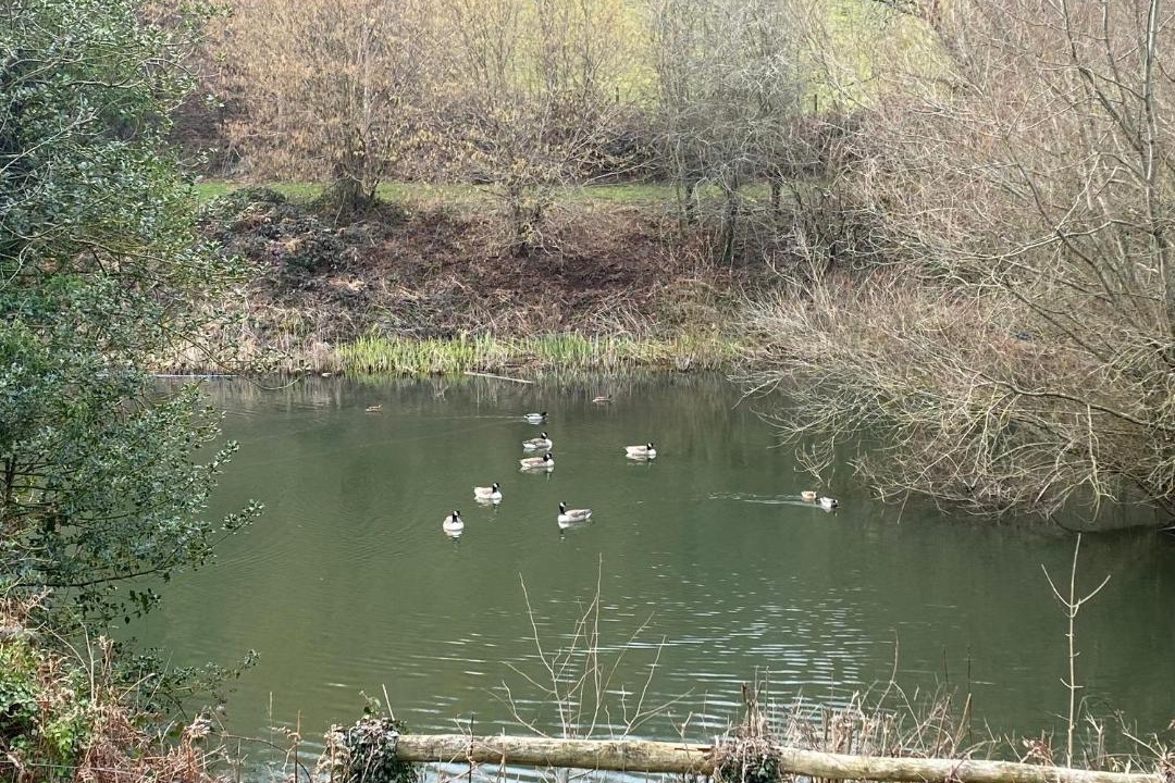 Photo of Others in Redbrook