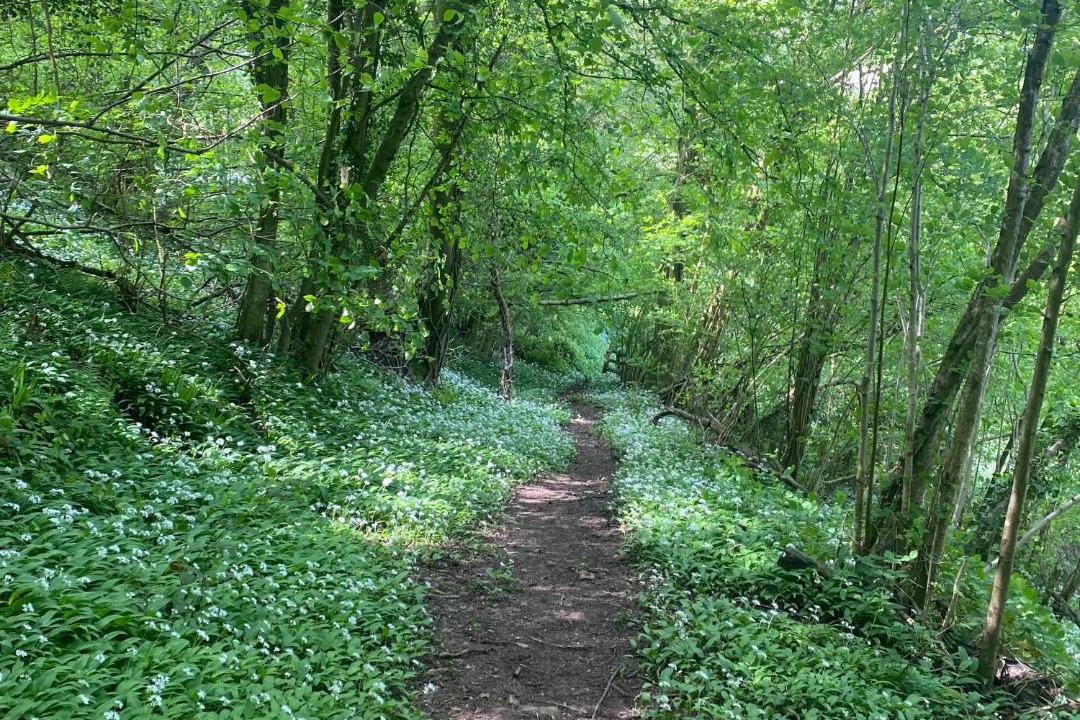 Photo of Others in Redbrook