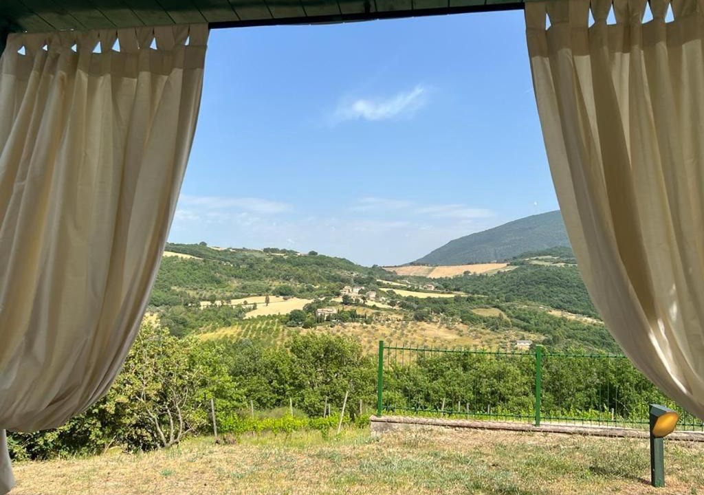 Photo of Others in Assisi