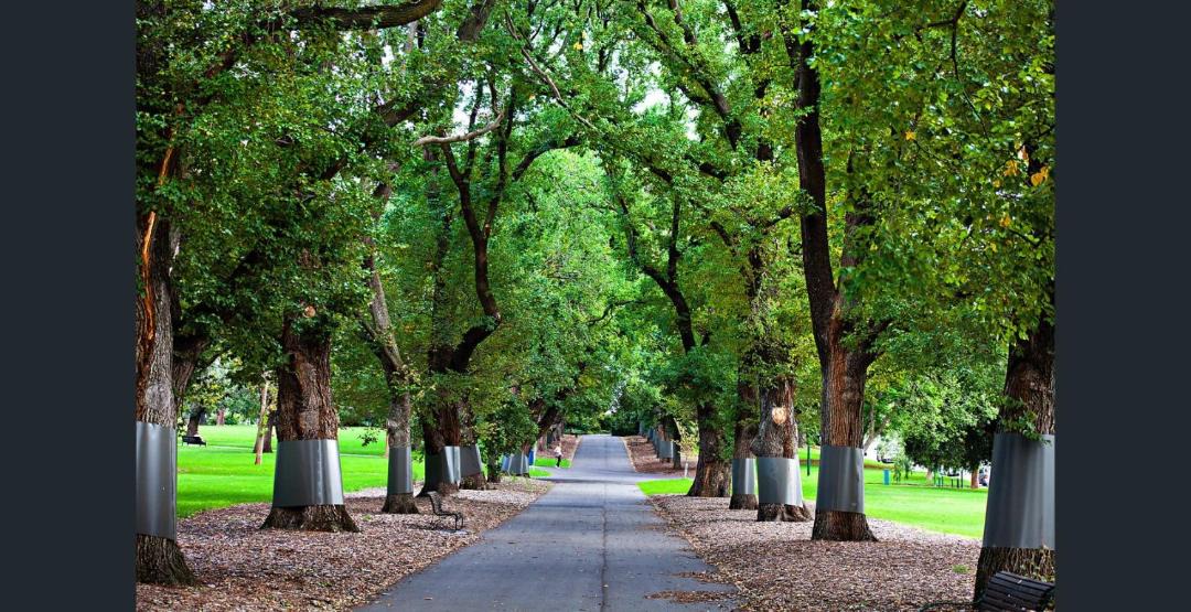 Photo of Others in East Melbourne