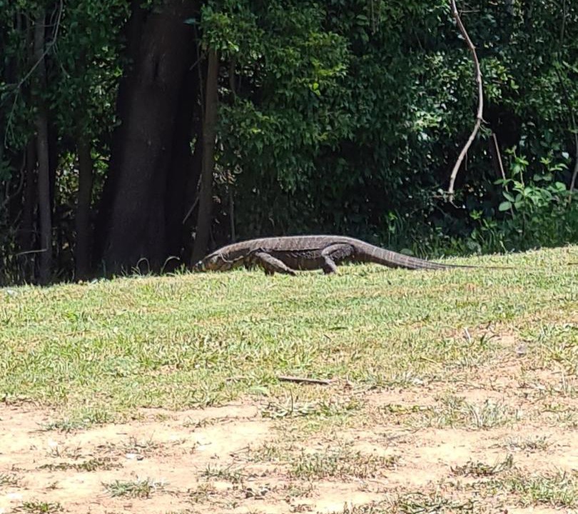 Photo of Others in Cabbage Tree Creek