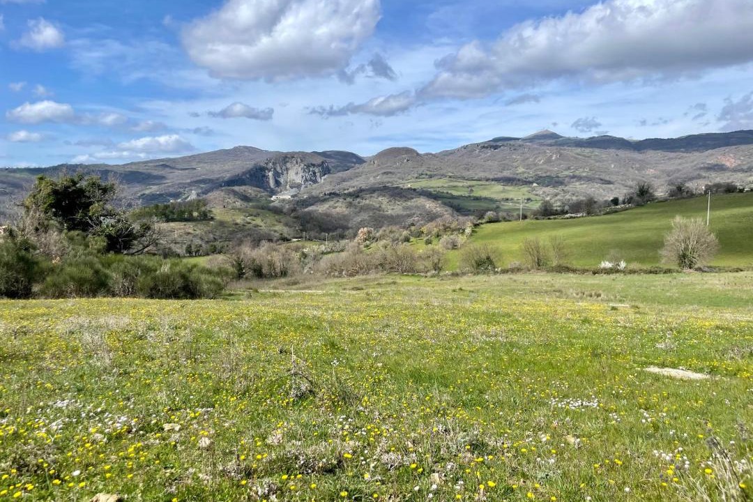 Photo of Others in Roccalbegna