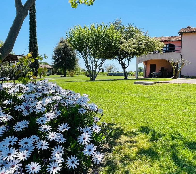 Photo of Others in Castiglione della Pescaia