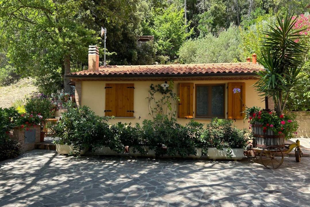 Photo of Others in Castellina Marittima