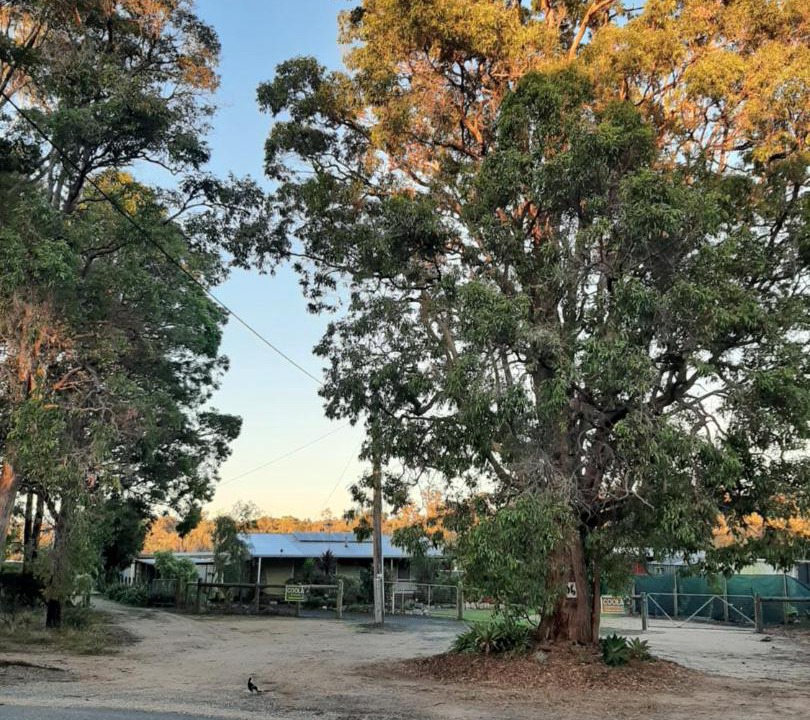 Photo of Outdoor in Mallacoota