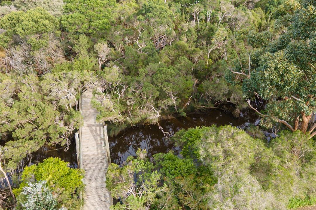 Photo of Others in Mount Martha